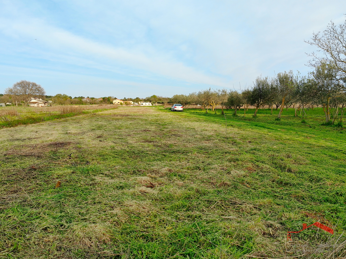 Banjole, landwirtschaftliches Land mit Olivenhain und Wasser