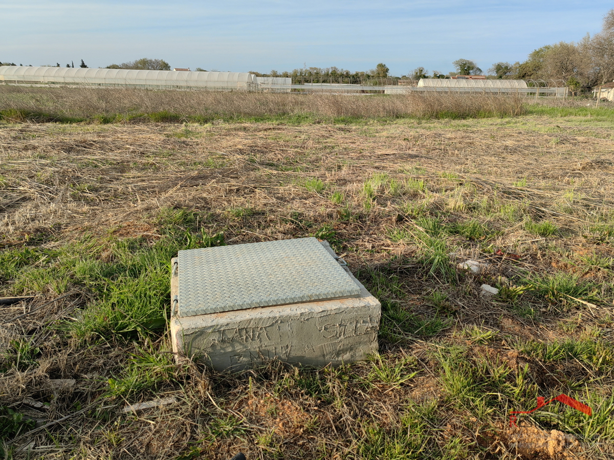 Banjole, landwirtschaftliches Land mit Olivenhain und Wasser