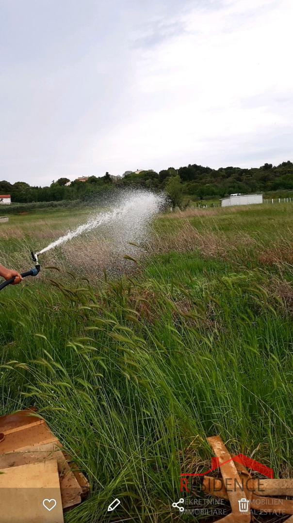 Banjole, landwirtschaftliches Land mit Olivenhain und Wasser