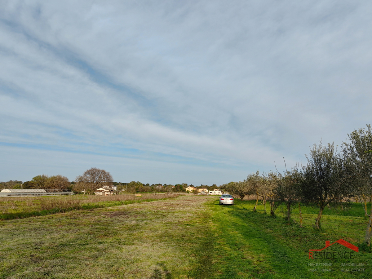 Banjole, landwirtschaftliches Land mit Olivenhain und Wasser