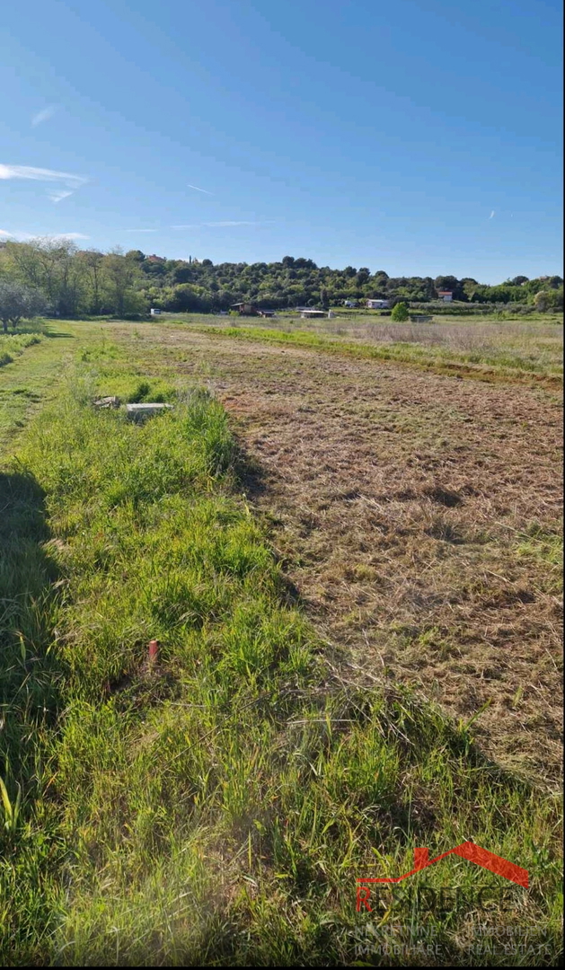 Banjole, landwirtschaftliches Land mit Olivenhain und Wasser