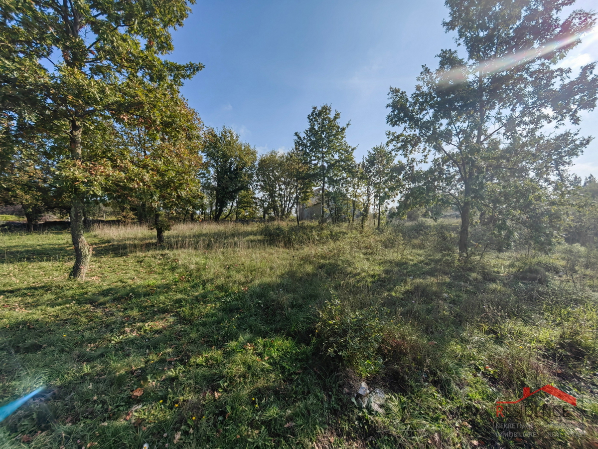 CUKRIĆI, UNA VECCHIA CASA IN PIETRA DA RISTRUTTURARE CON UN AMPIO GIARDINO