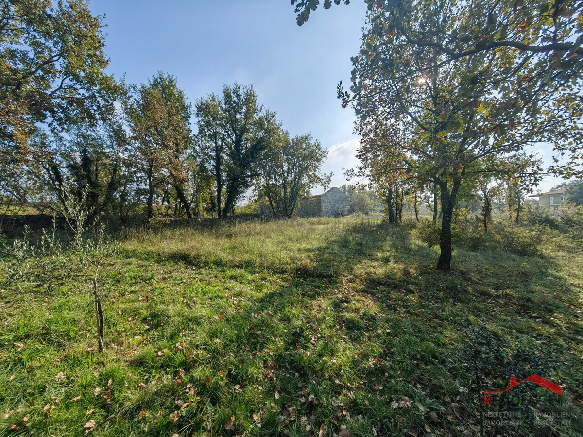CUKRIĆI, UNA VECCHIA CASA IN PIETRA DA RISTRUTTURARE CON UN AMPIO GIARDINO