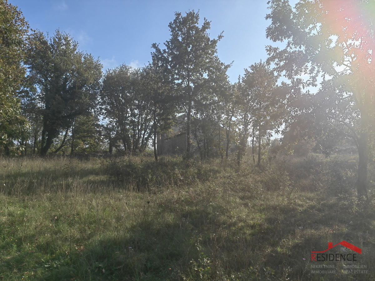 CUKRIĆI, UNA VECCHIA CASA IN PIETRA DA RISTRUTTURARE CON UN AMPIO GIARDINO