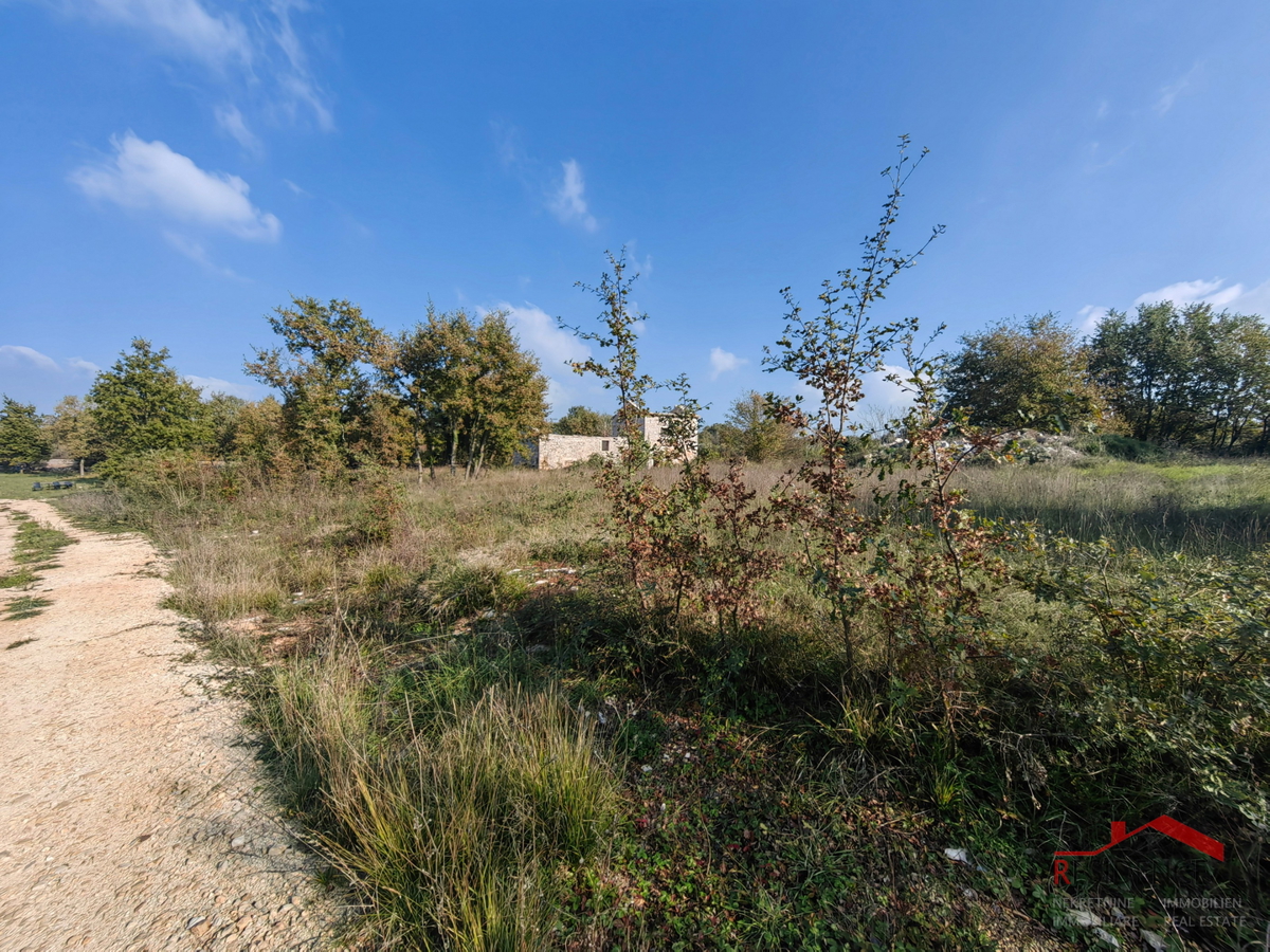 CUKRIĆI, UNA VECCHIA CASA IN PIETRA DA RISTRUTTURARE CON UN AMPIO GIARDINO