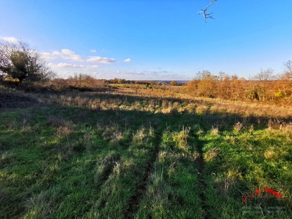 COKUNI, EDIFICABILE E TERRENO AGRICOLO