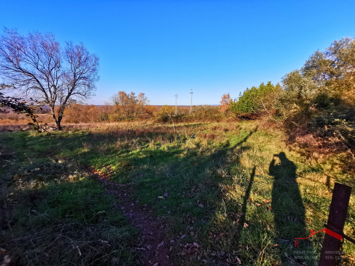 COKUNI, EDIFICABILE E TERRENO AGRICOLO