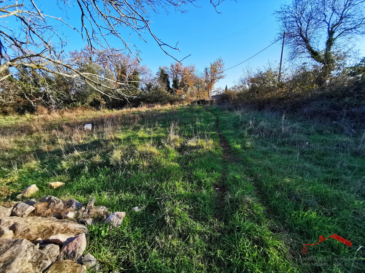 COKUNI, EDIFICABILE E TERRENO AGRICOLO