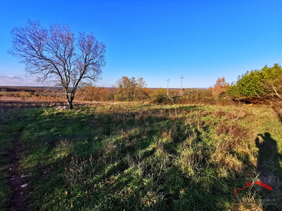 COKUNI, EDIFICABILE E TERRENO AGRICOLO