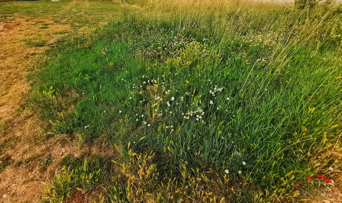 Pola, Šikići, terreno edificabile