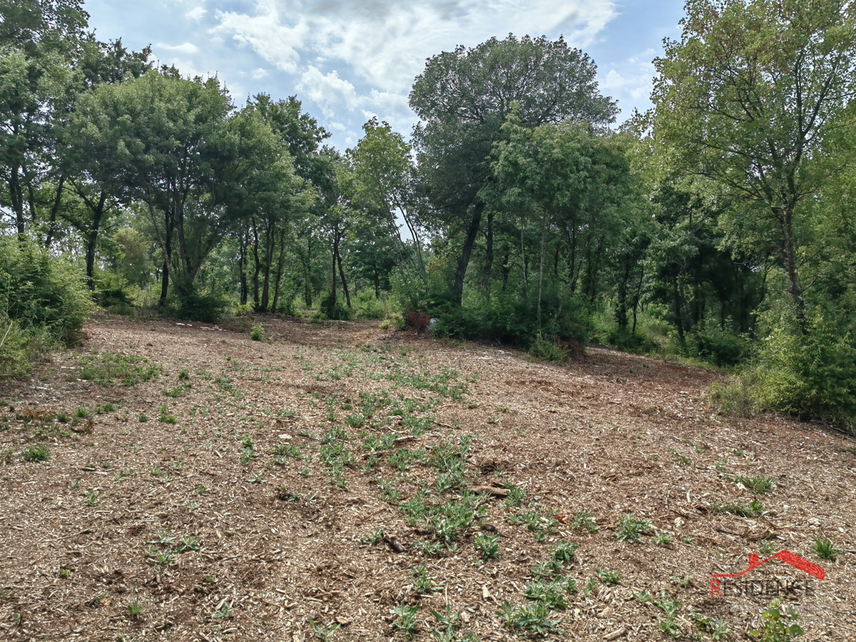 Bale, terreno agricolo in posizione tranquilla