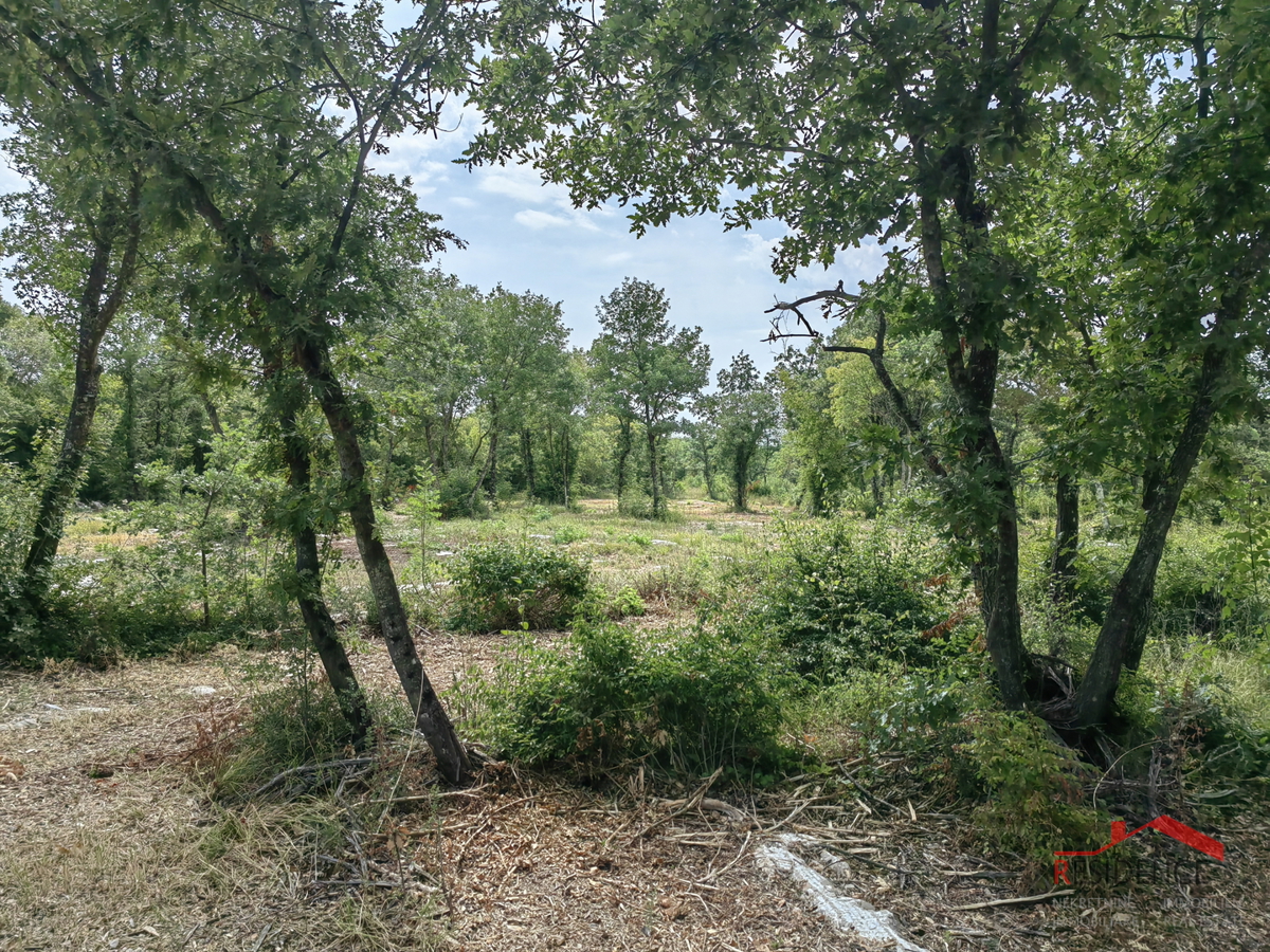 Bale, terreno agricolo in posizione tranquilla