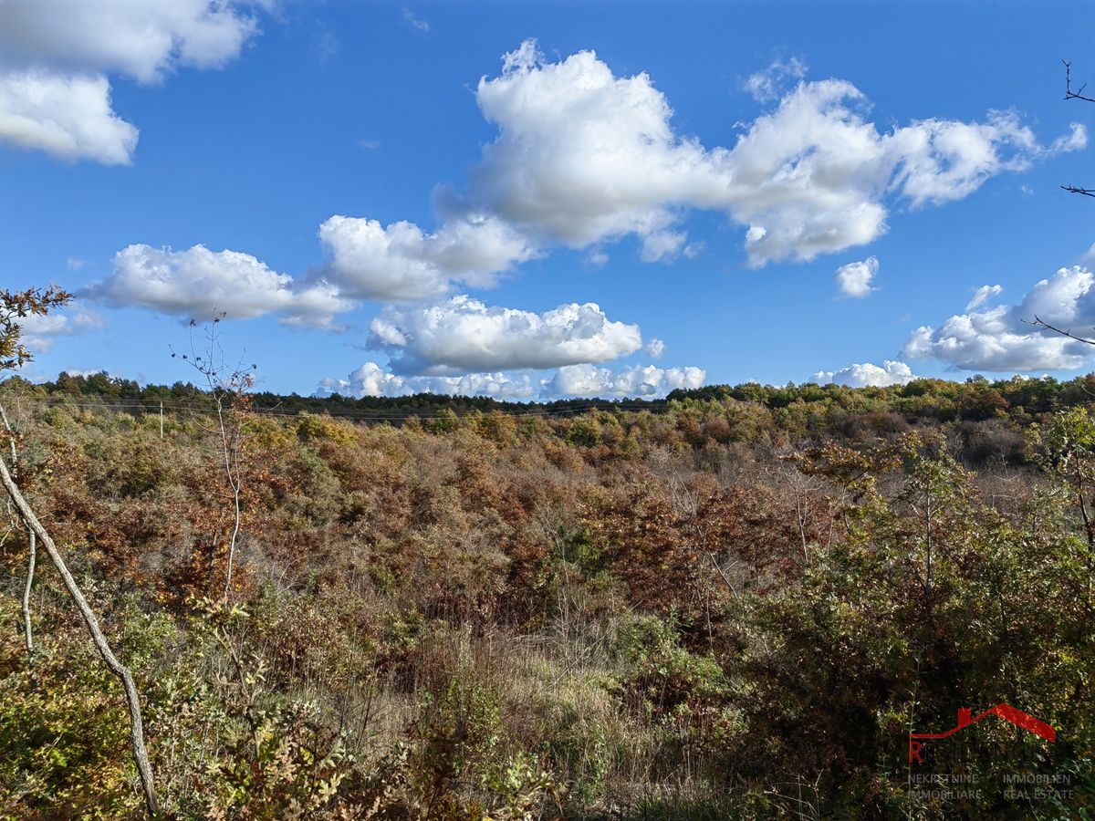 Svetvinčenat - dintorni, terreno agricolo