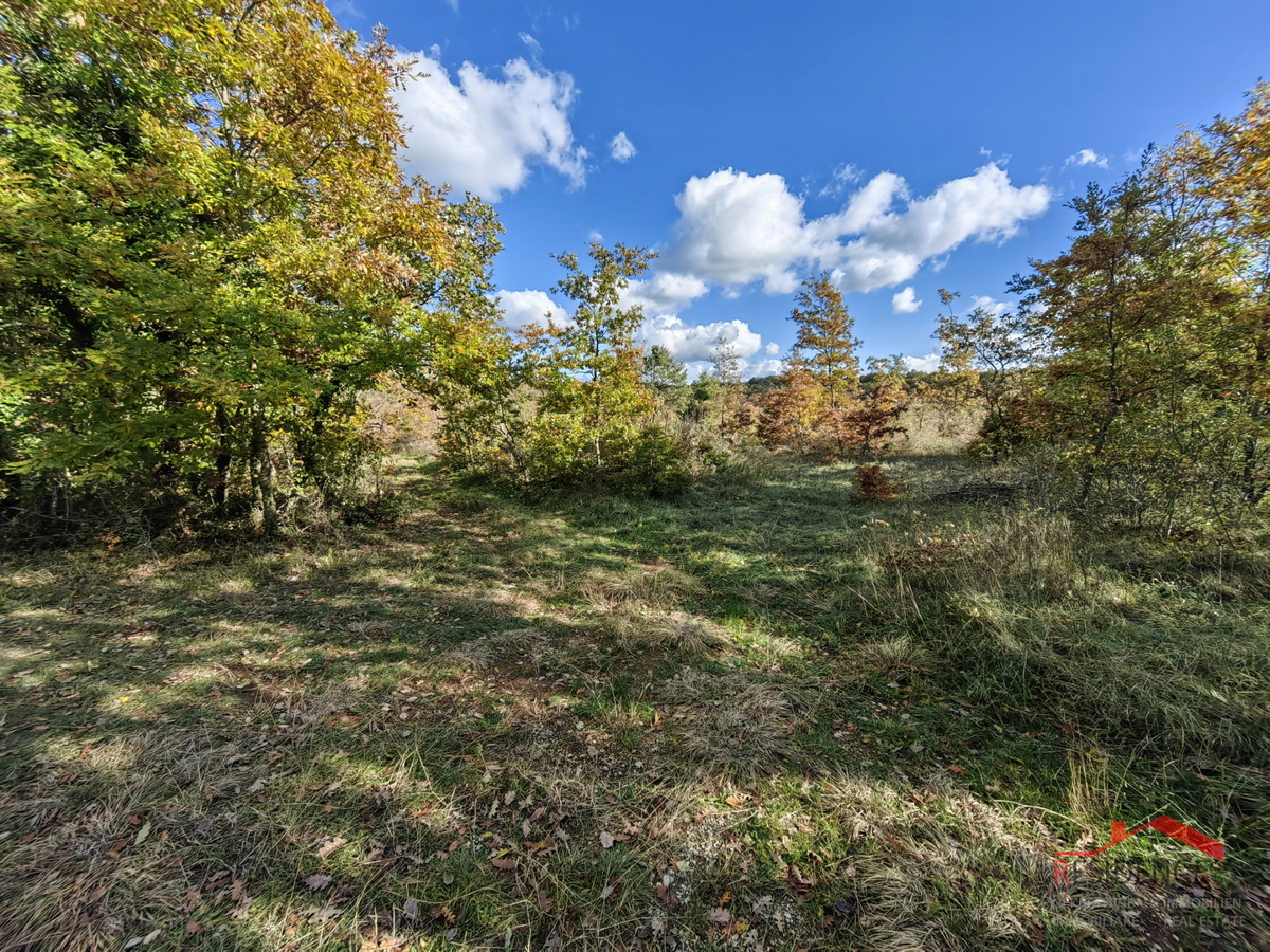 Svetvinčenat - dintorni, terreno agricolo