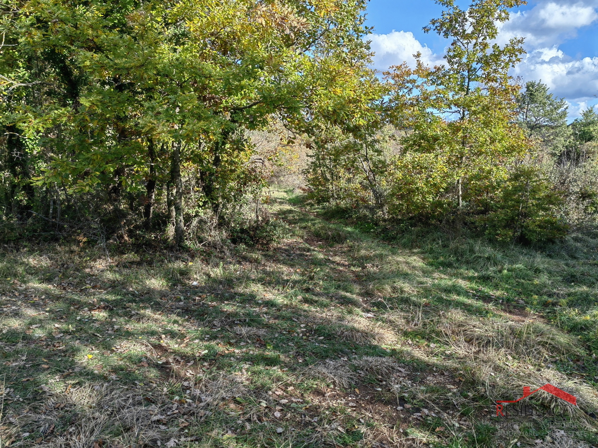 Svetvinčenat - dintorni, terreno agricolo