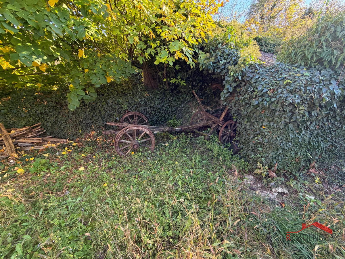Filipana, Vecchia casa istriana, giardino, garage, taverna