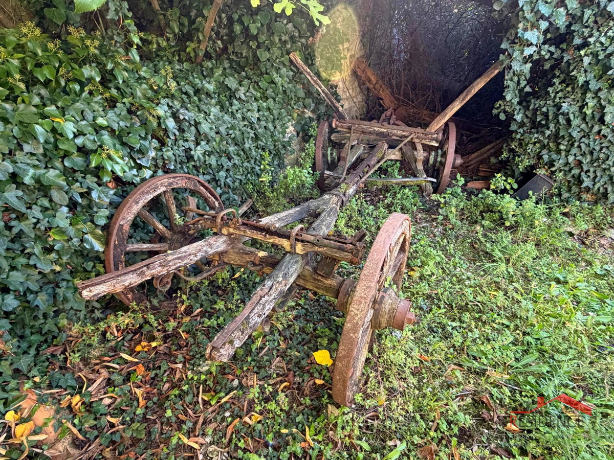 Filipana, Vecchia casa istriana, giardino, garage, taverna
