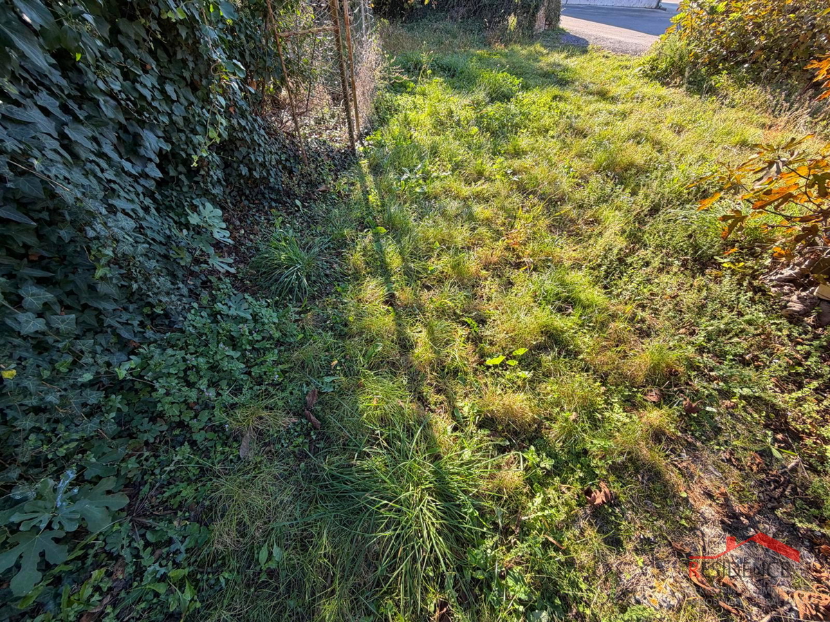 Filipana, Vecchia casa istriana, giardino, garage, taverna