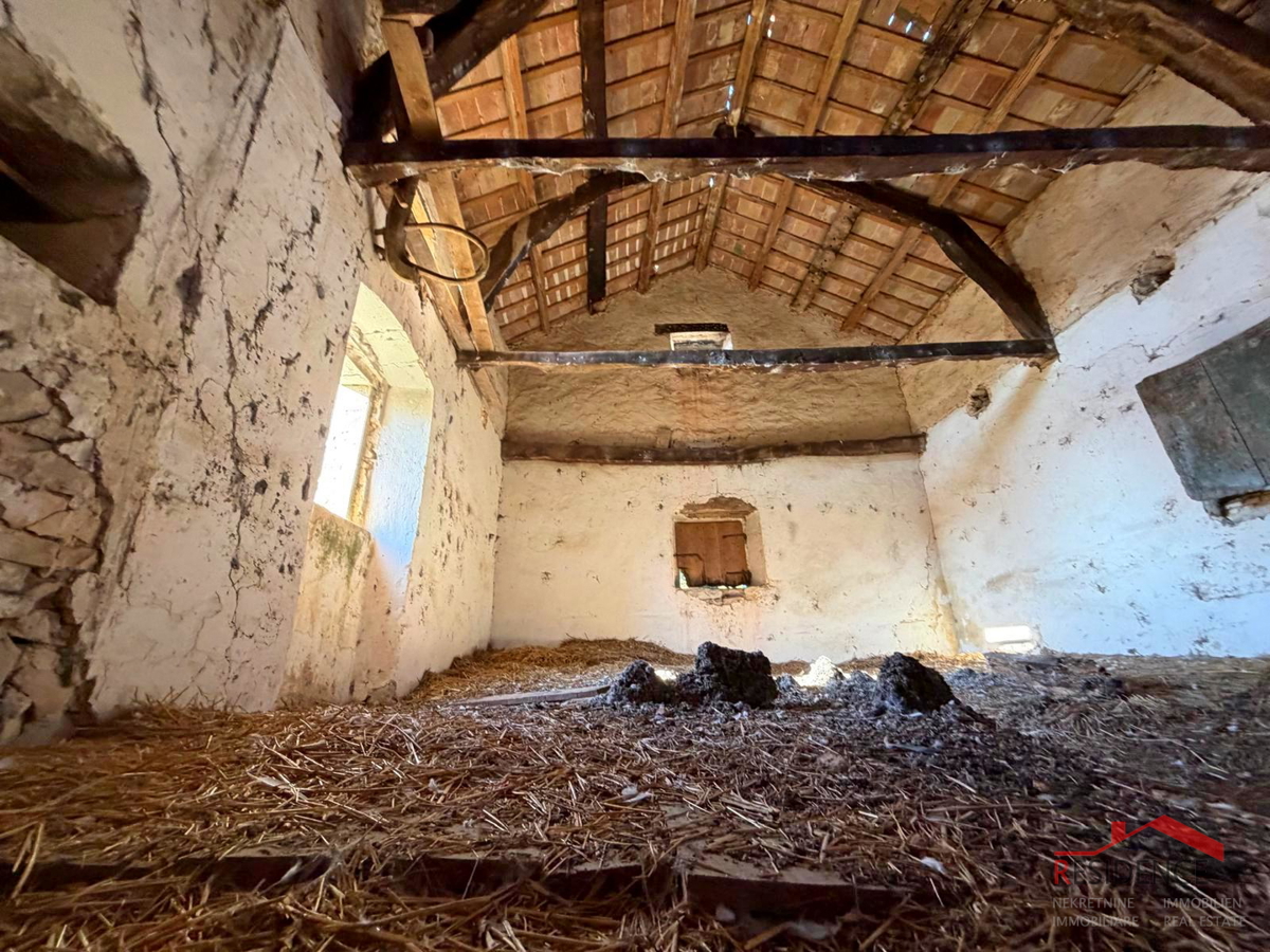 Filipana, Vecchia casa istriana, giardino, garage, taverna