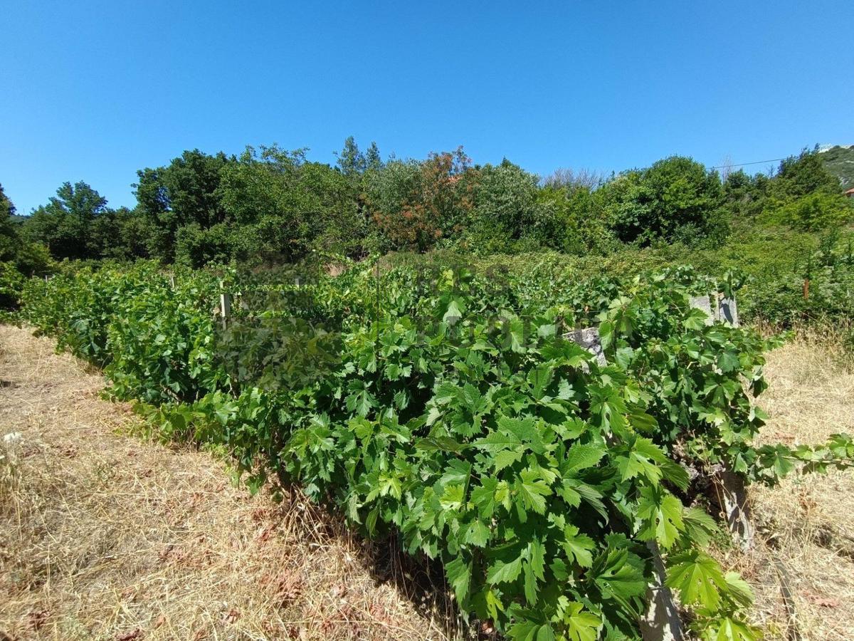 RUŠEVINA I GRAĐEVINSKO ZEMLJIŠTE - PRILIKA!