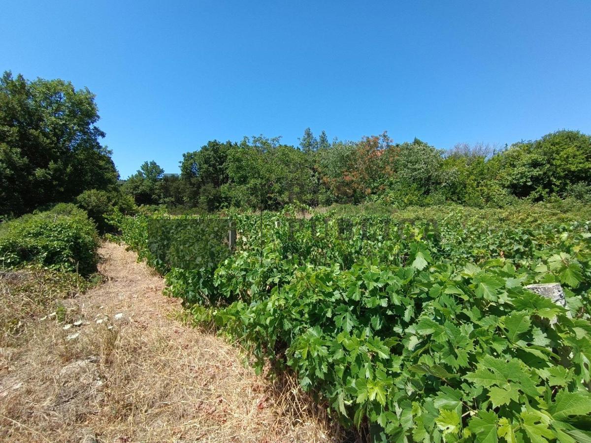 RUŠEVINA I GRAĐEVINSKO ZEMLJIŠTE - PRILIKA!