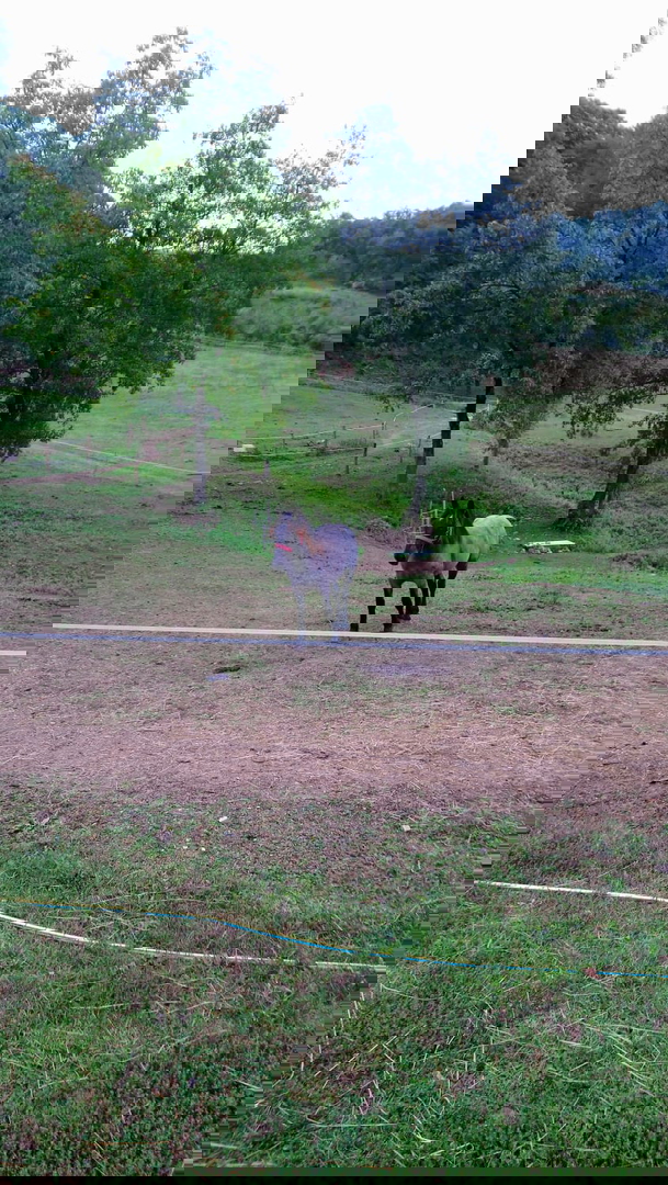 ENORME PROPRIETÀ - PER INVESTIMENTO, USO TURISTICO