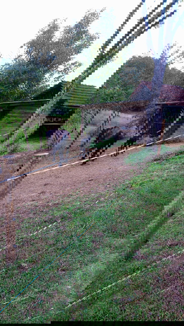 ENORME PROPRIETÀ - PER INVESTIMENTO, USO TURISTICO