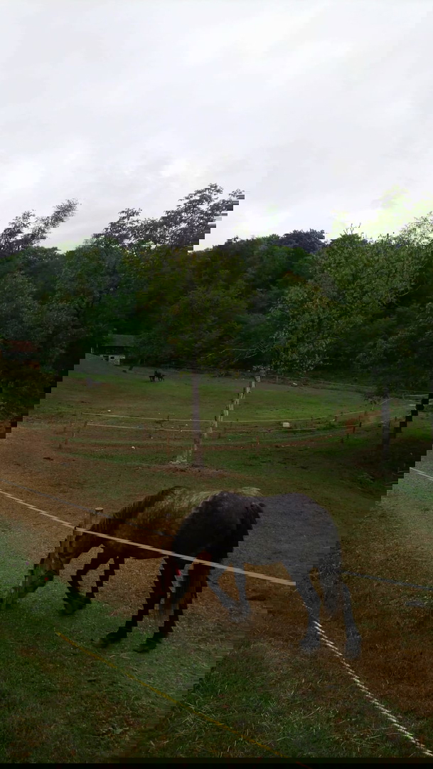 ENORME PROPRIETÀ - PER INVESTIMENTO, USO TURISTICO