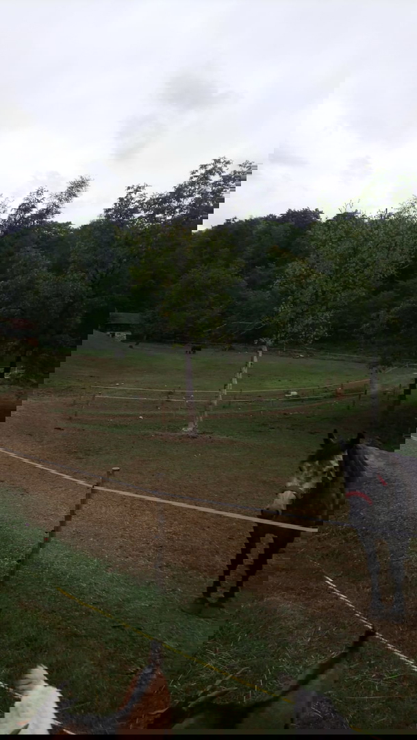 ENORME PROPRIETÀ - PER INVESTIMENTO, USO TURISTICO