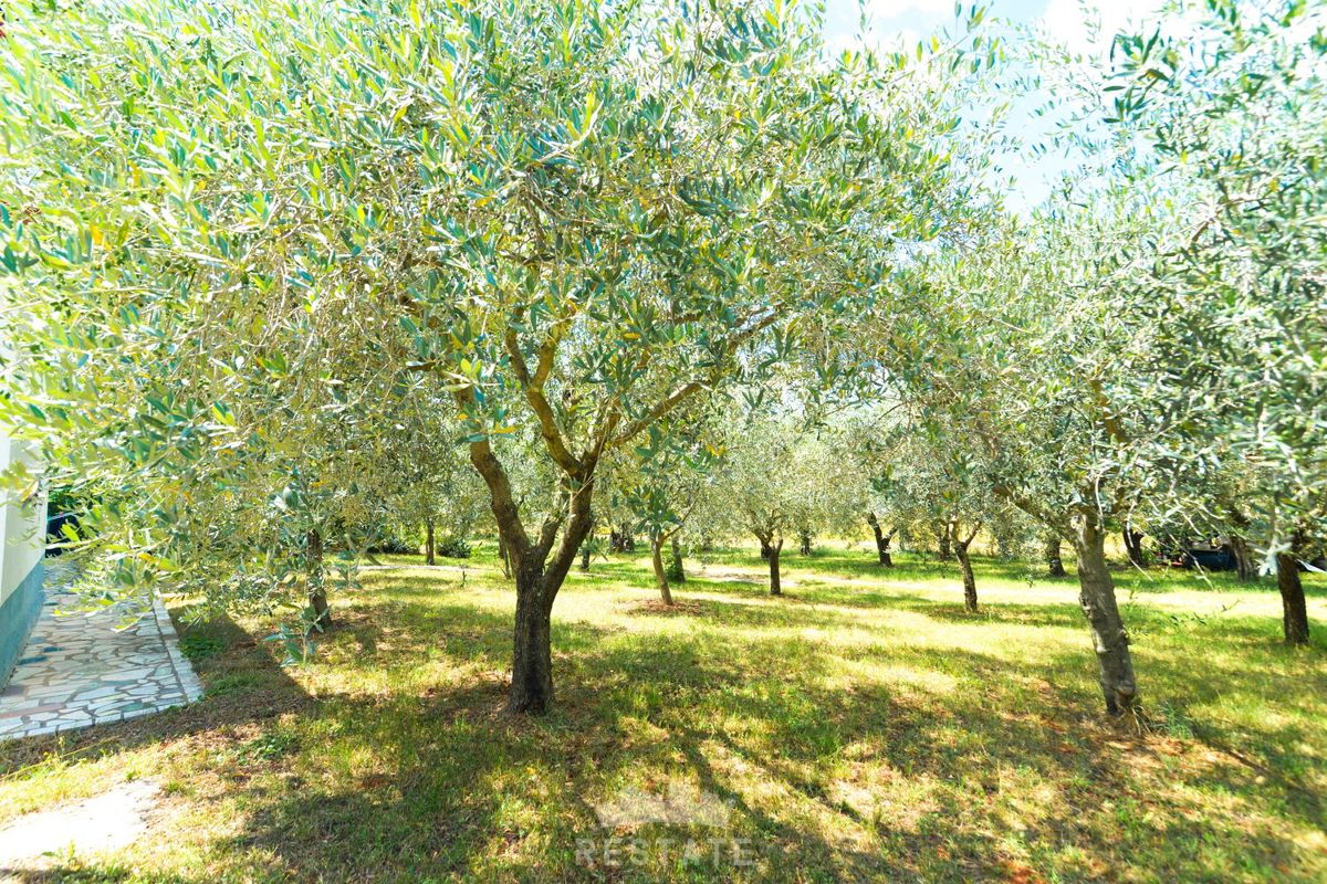 casa in stile mediterraneo, senza terreno circostante o con esso