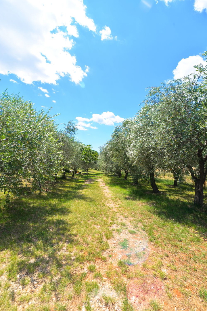 casa in stile mediterraneo, senza terreno circostante o con esso