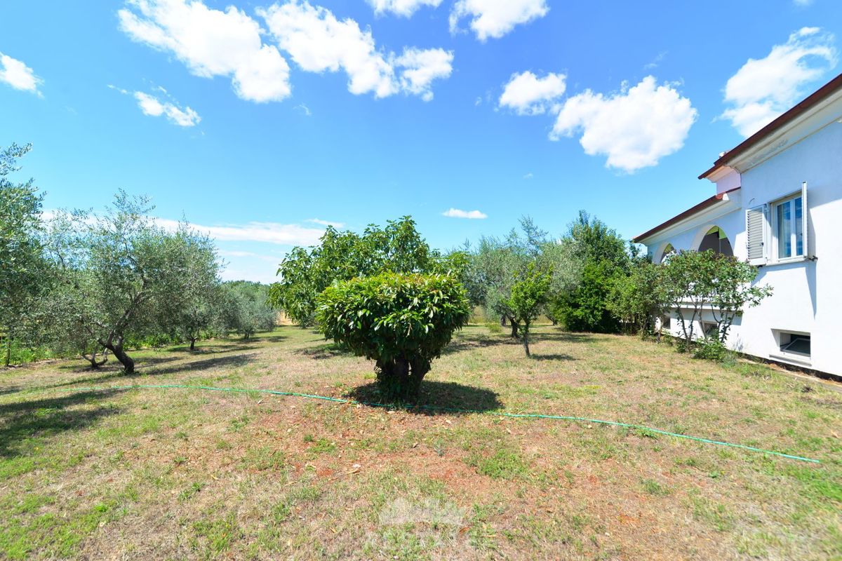 casa in stile mediterraneo, senza terreno circostante o con esso