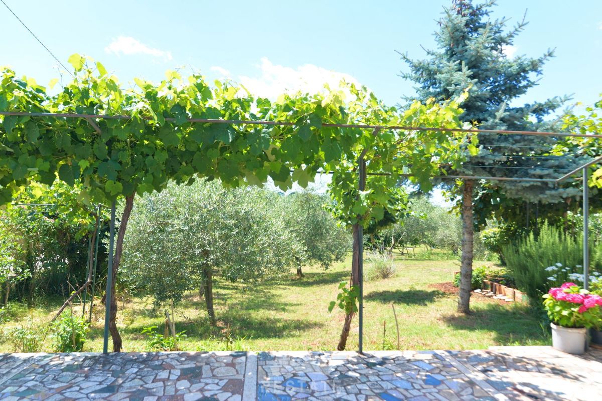 casa in stile mediterraneo, senza terreno circostante o con esso