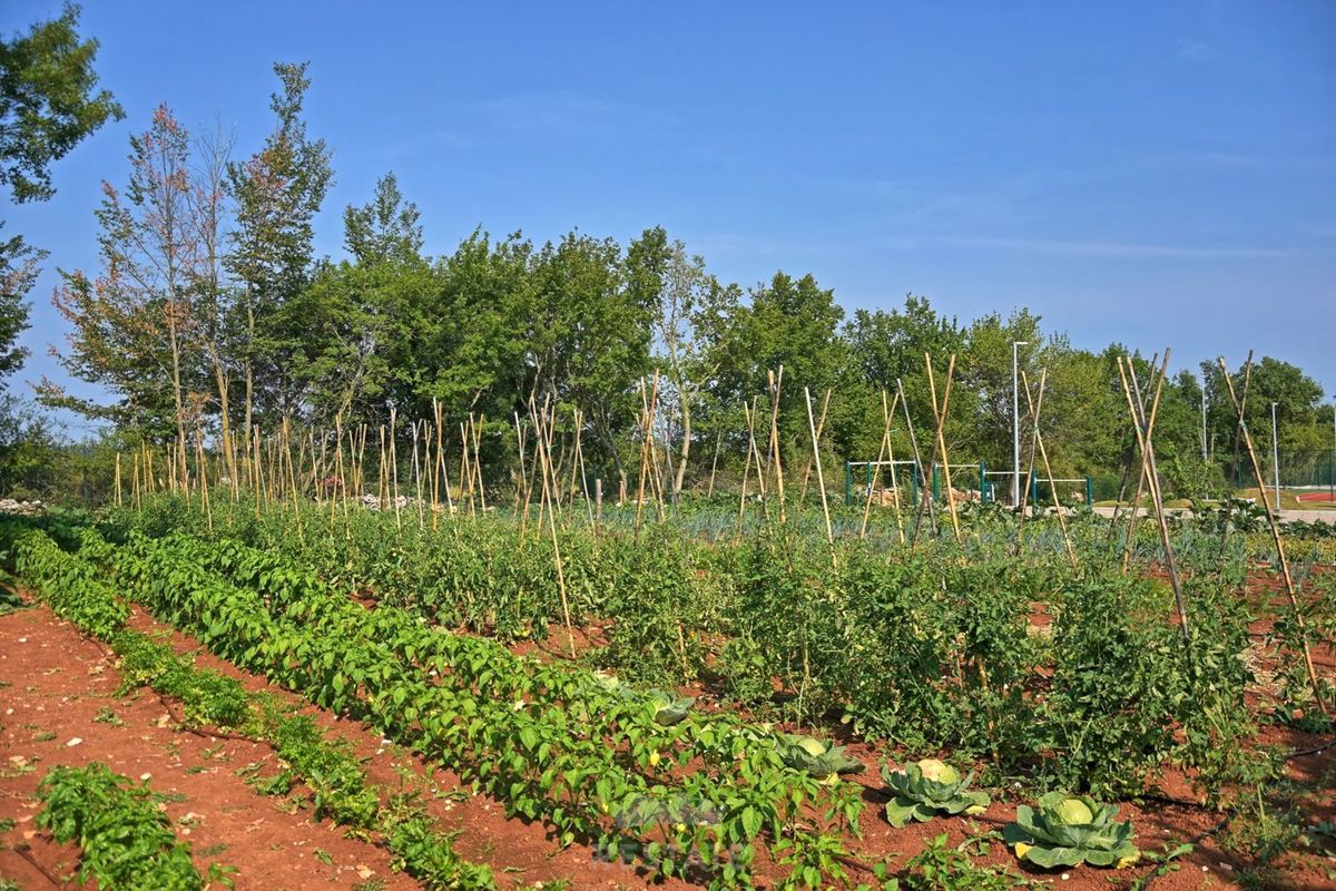 villa rustica con servizi moderni