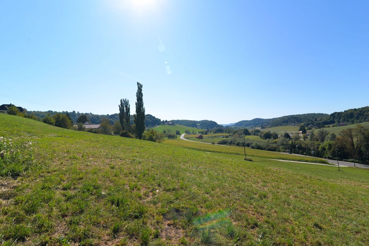 fino a 3 lotti edificabili