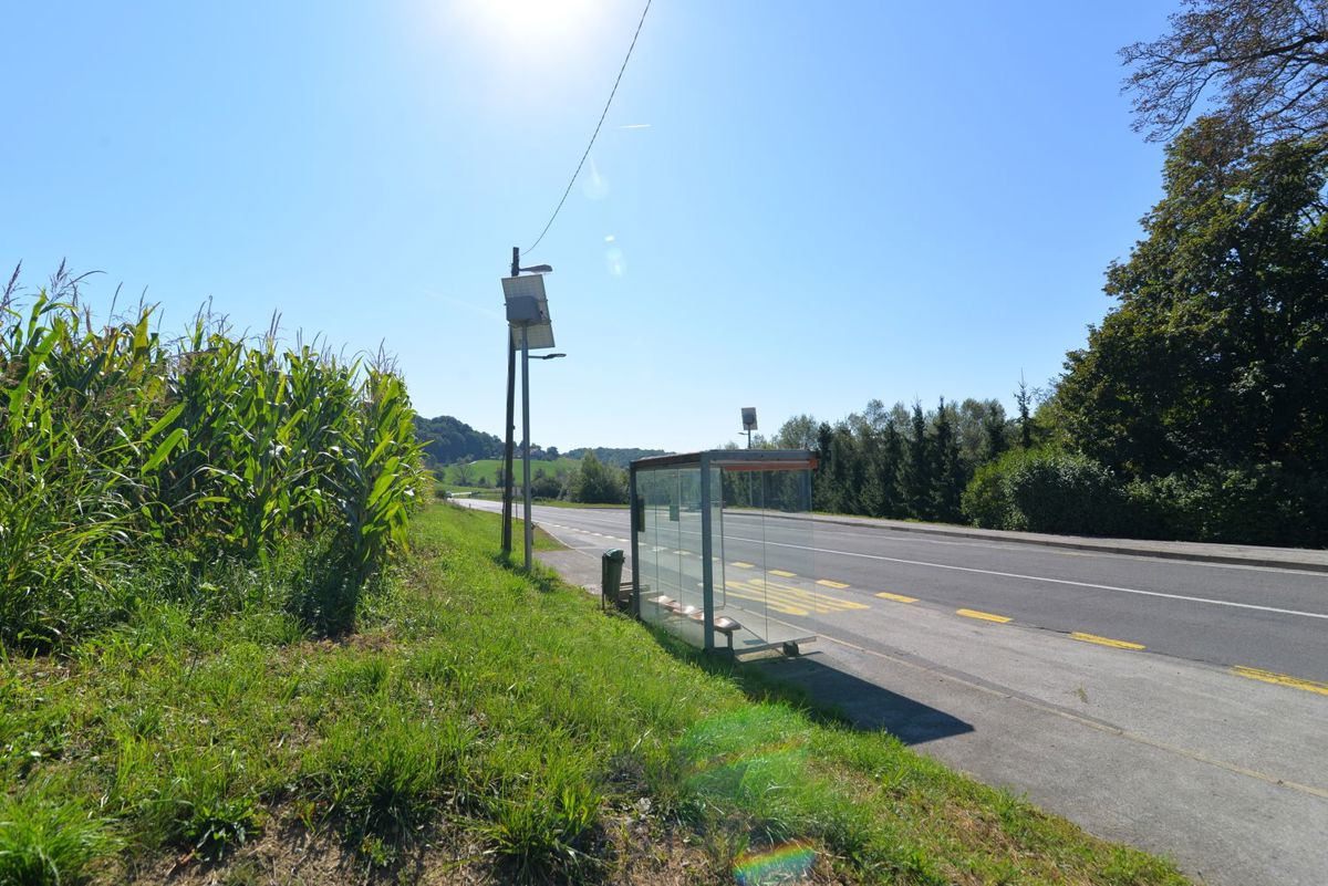 fino a 3 lotti edificabili