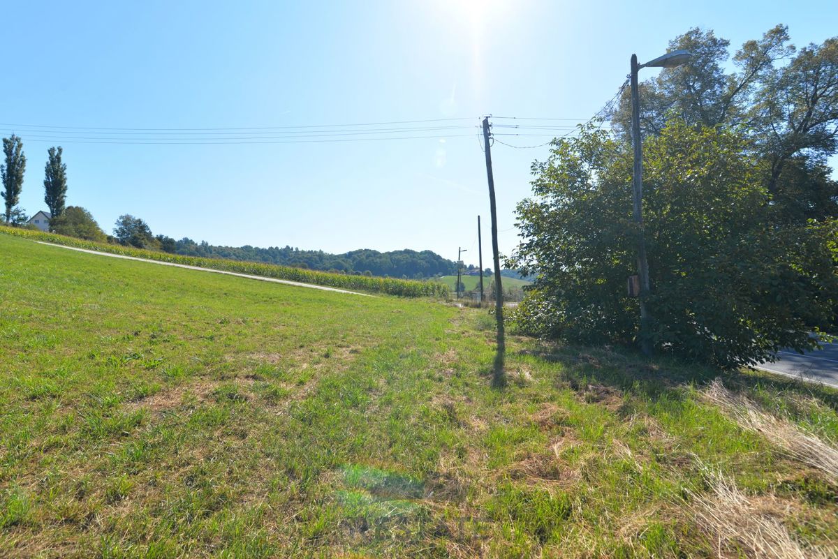 fino a 3 lotti edificabili