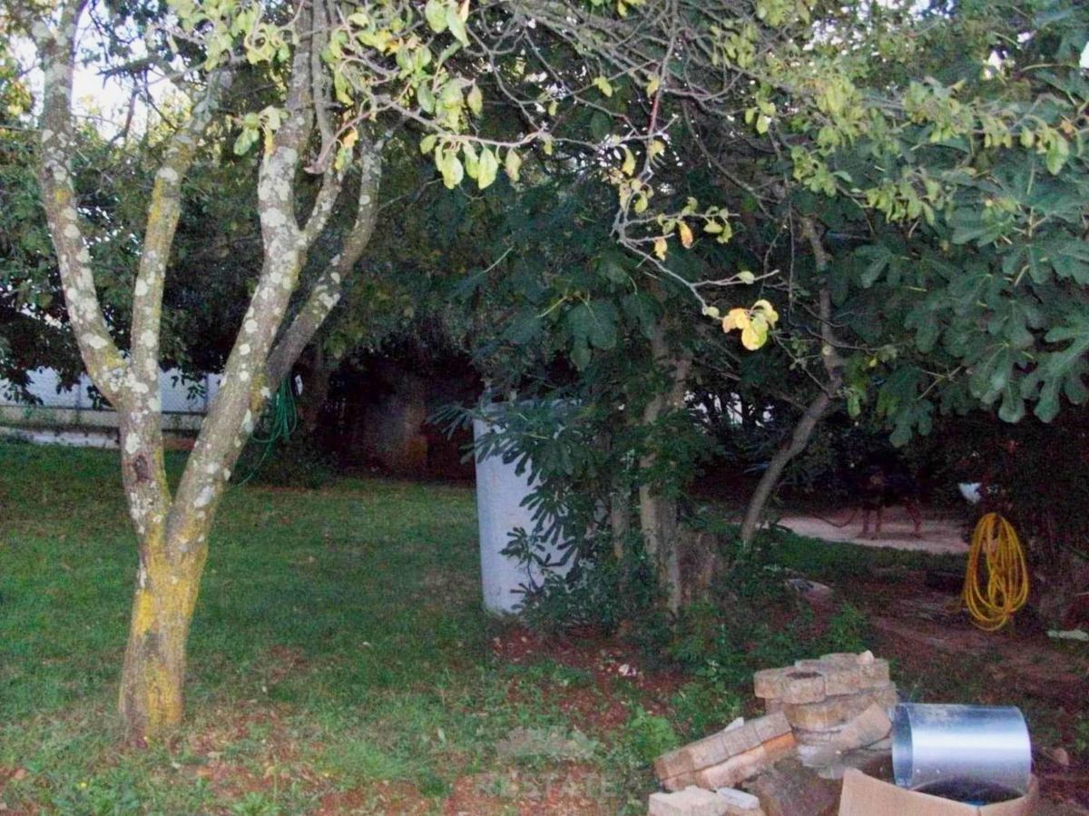 ECCELLENTE INVESTIMENTO