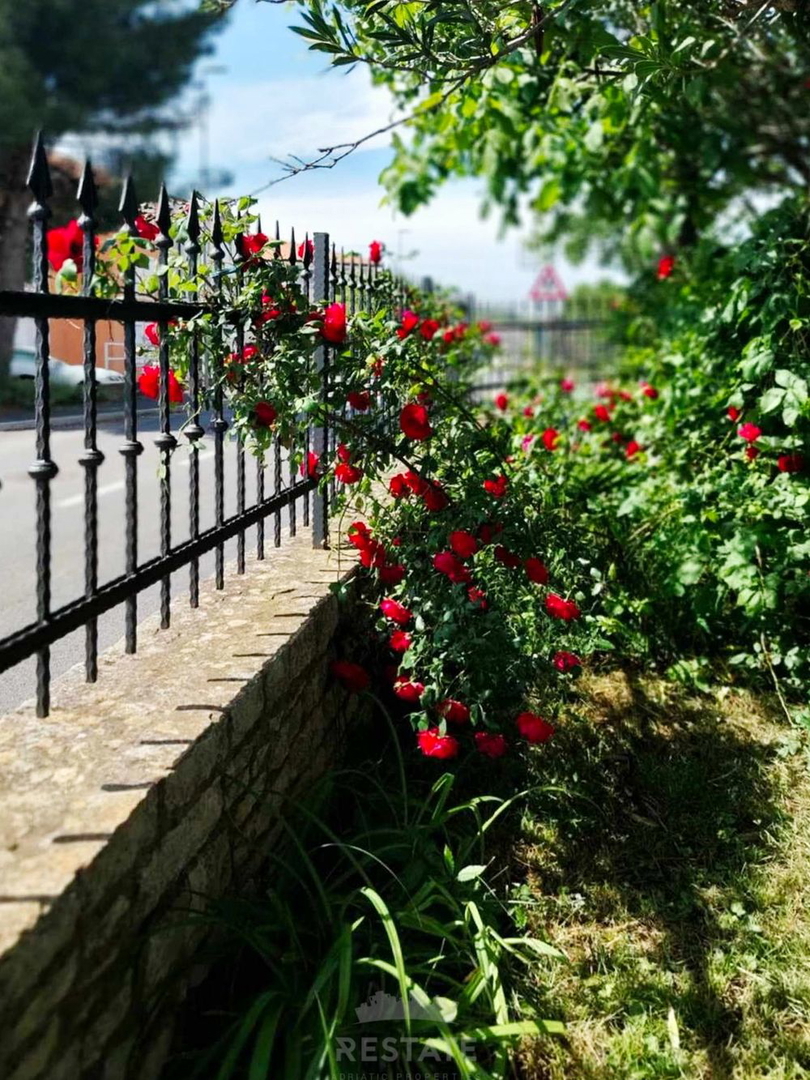 ECCELLENTE INVESTIMENTO