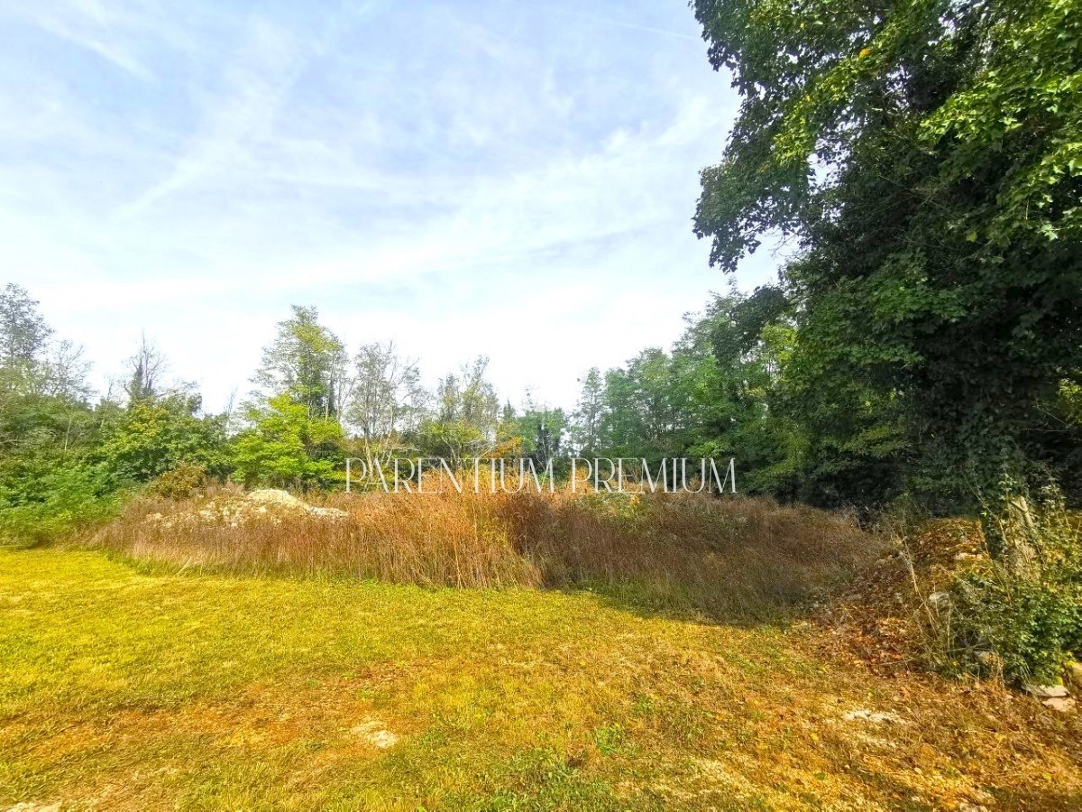 Terreno edificabile e agricolo abbinato