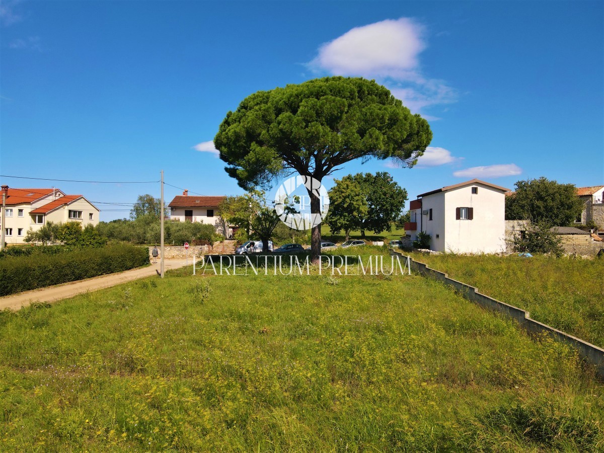 Terreno edificabile con vista