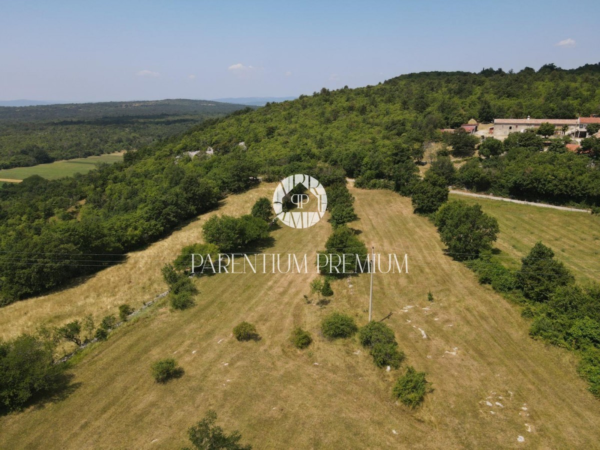 Terreno edificabile 5942m2 con una bellissima vista sull'Učka