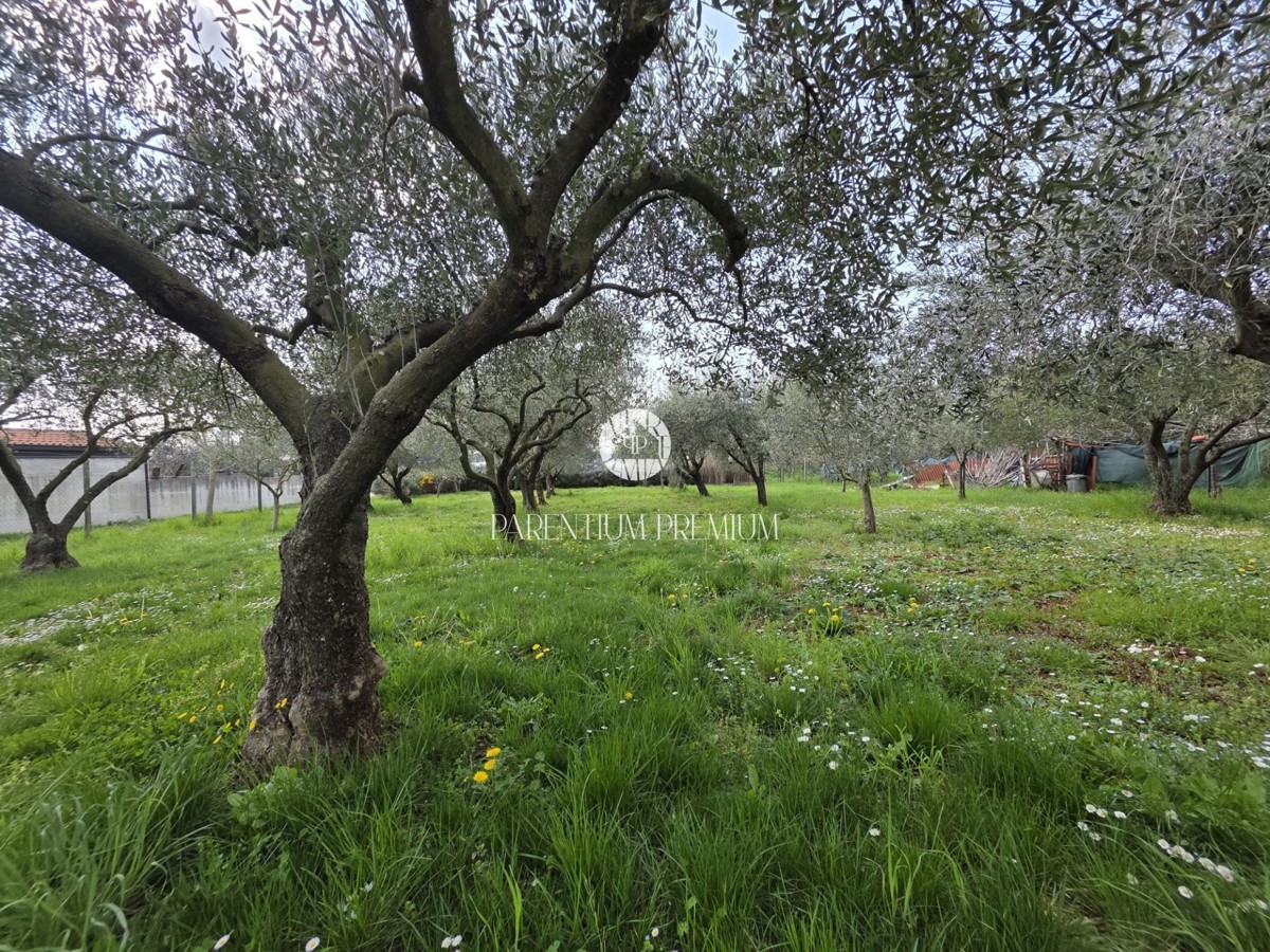 Casa 28 m², terreno 1.124 m² – a soli 500 m dal mare e dallo stadio principale ATP