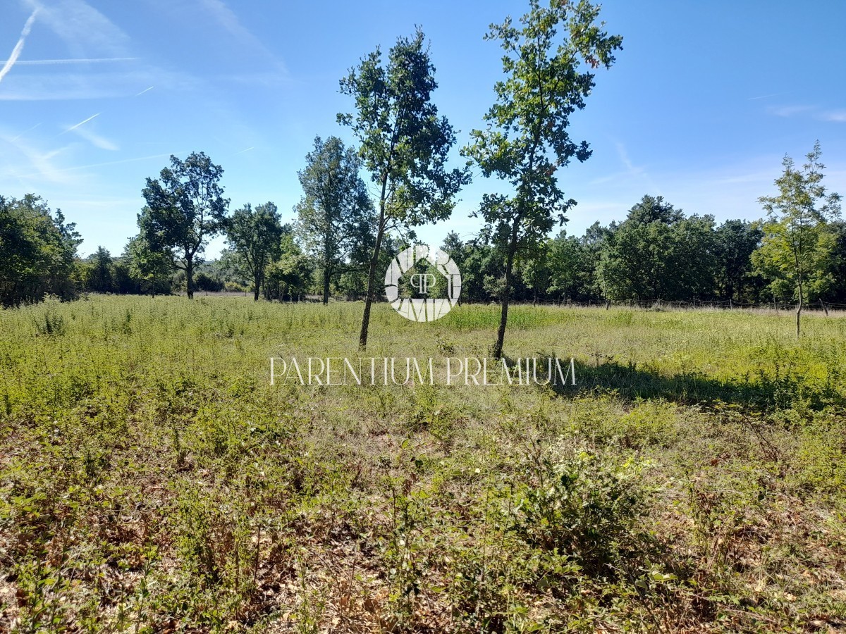 Terreno edificabile in posizione tranquilla