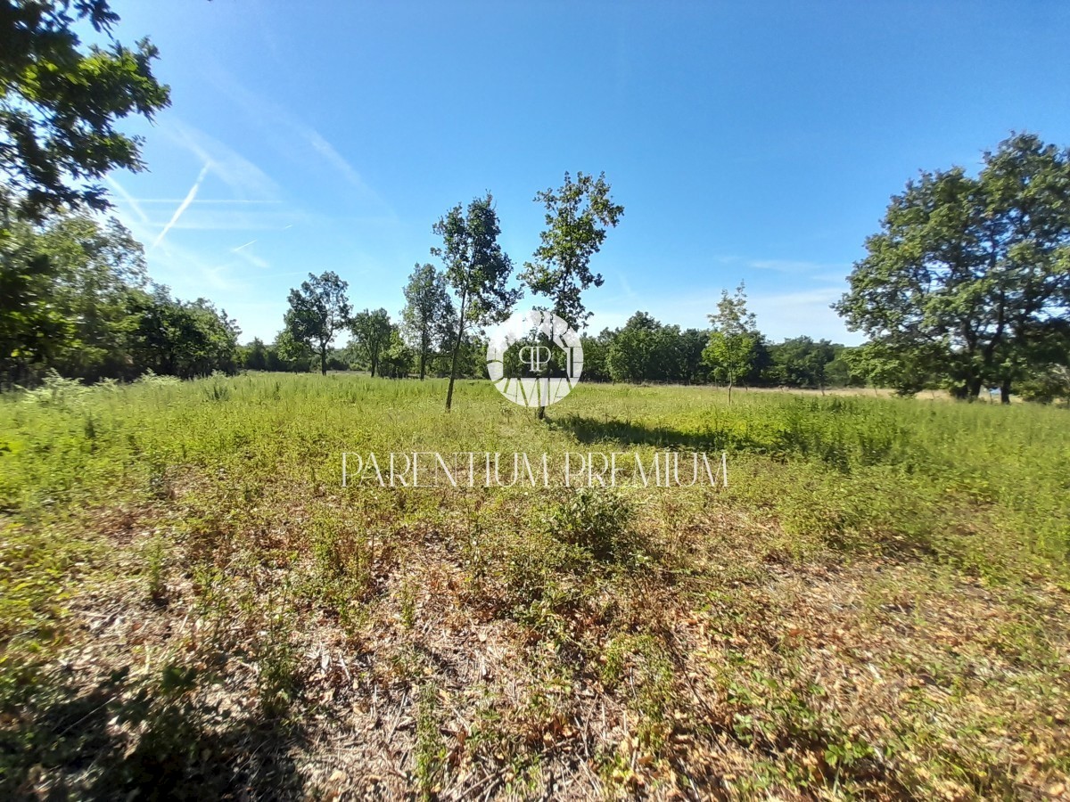 Terreno edificabile in posizione tranquilla