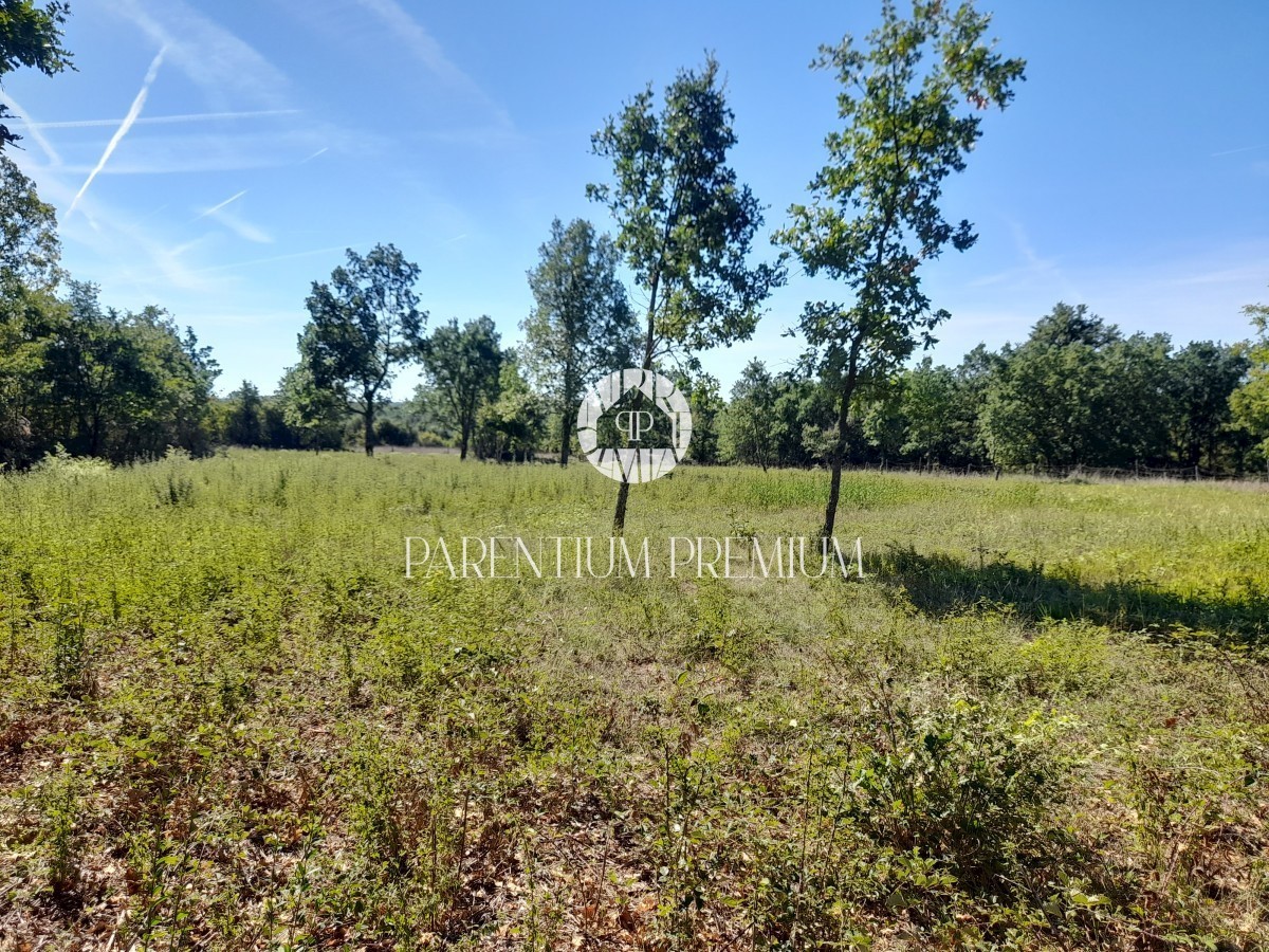 Terreno edificabile in posizione tranquilla