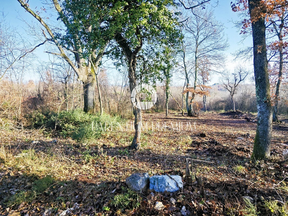 Ampio terreno edificabile in una posizione molto tranquilla a 12 km da Parenzo