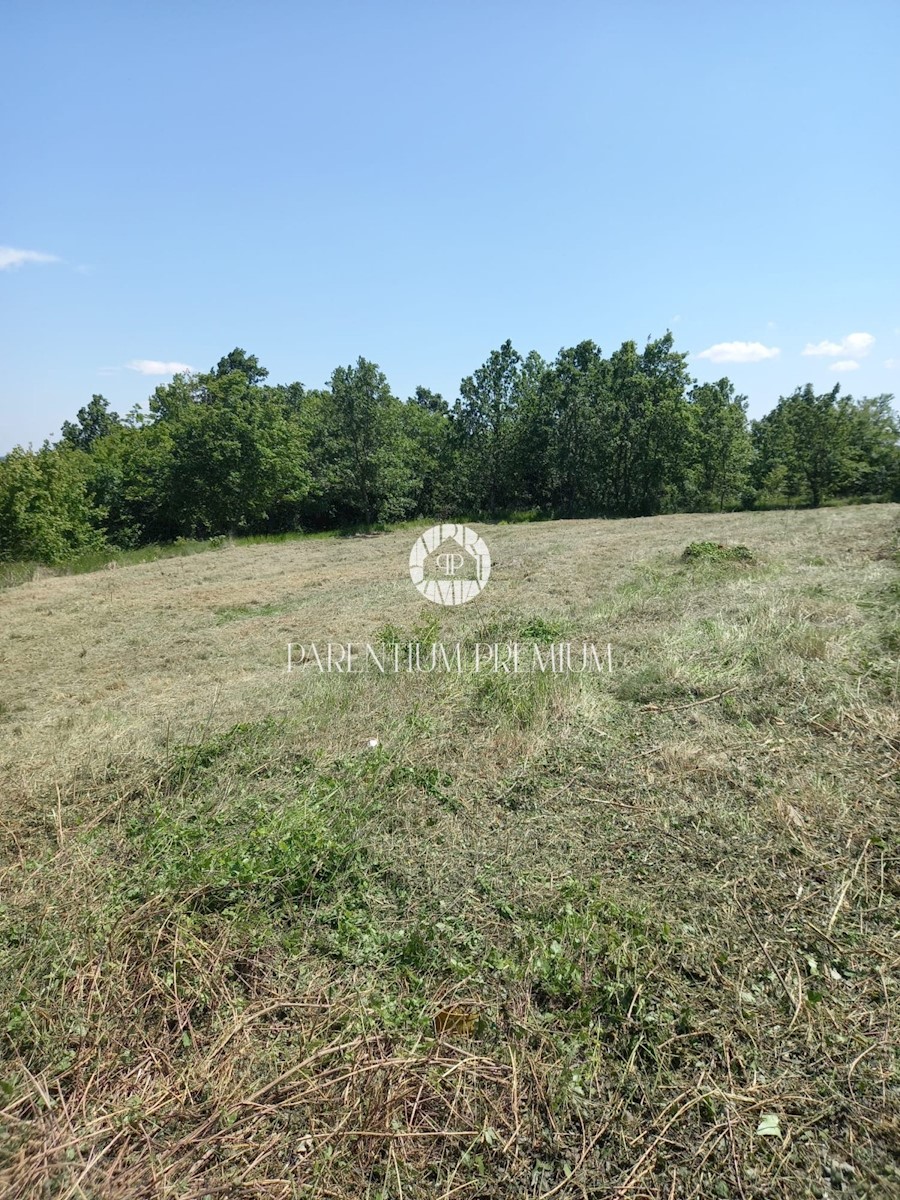 Terreno edificabile ai margini del paese con concessione edilizia per villa con piscina