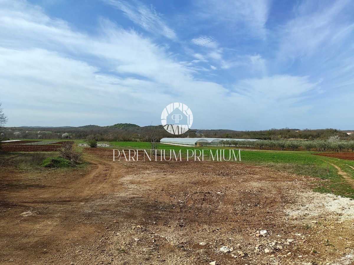 Terreno agricolo in ottima posizione vicino alla zona di costruzione