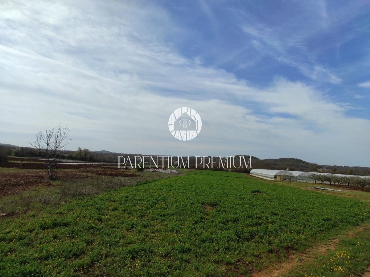 Terreno agricolo in ottima posizione vicino alla zona di costruzione